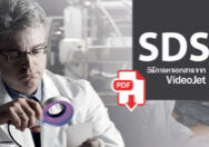 Search sds