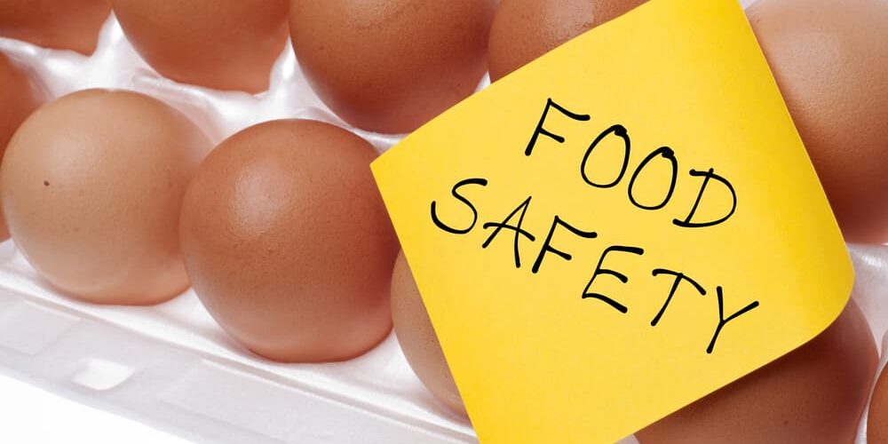 egg